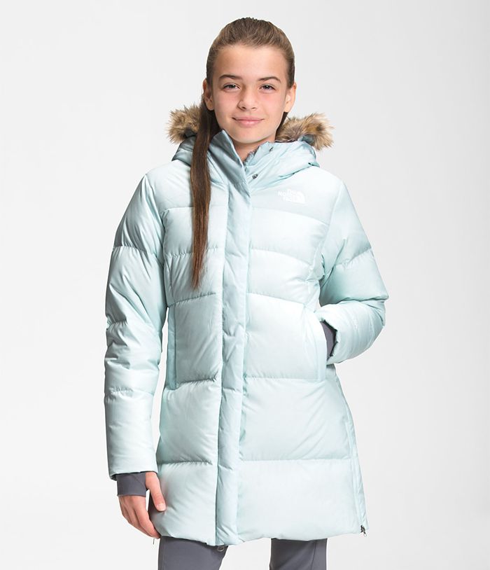 Chaqueta The North Face Niña Dealio Fitted Parka - Colombia LMGPDW094 - Azules